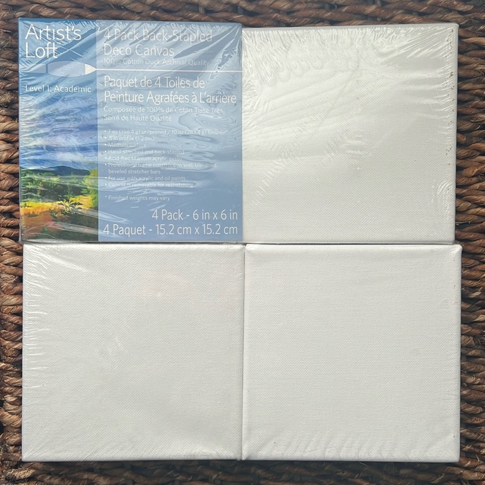 4 Pack 6”x6” Canvas Set
